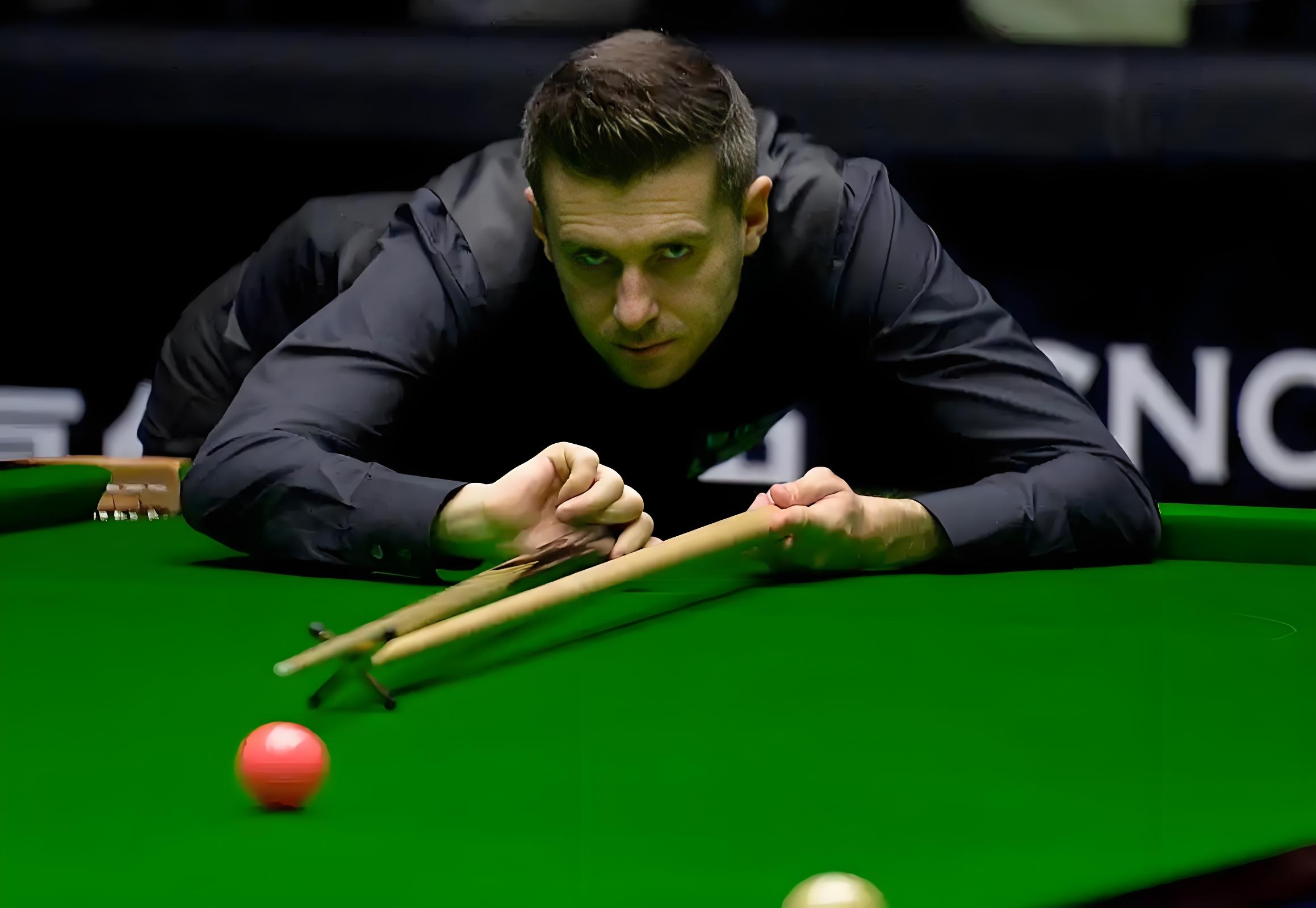 还积极参与 还积极参与