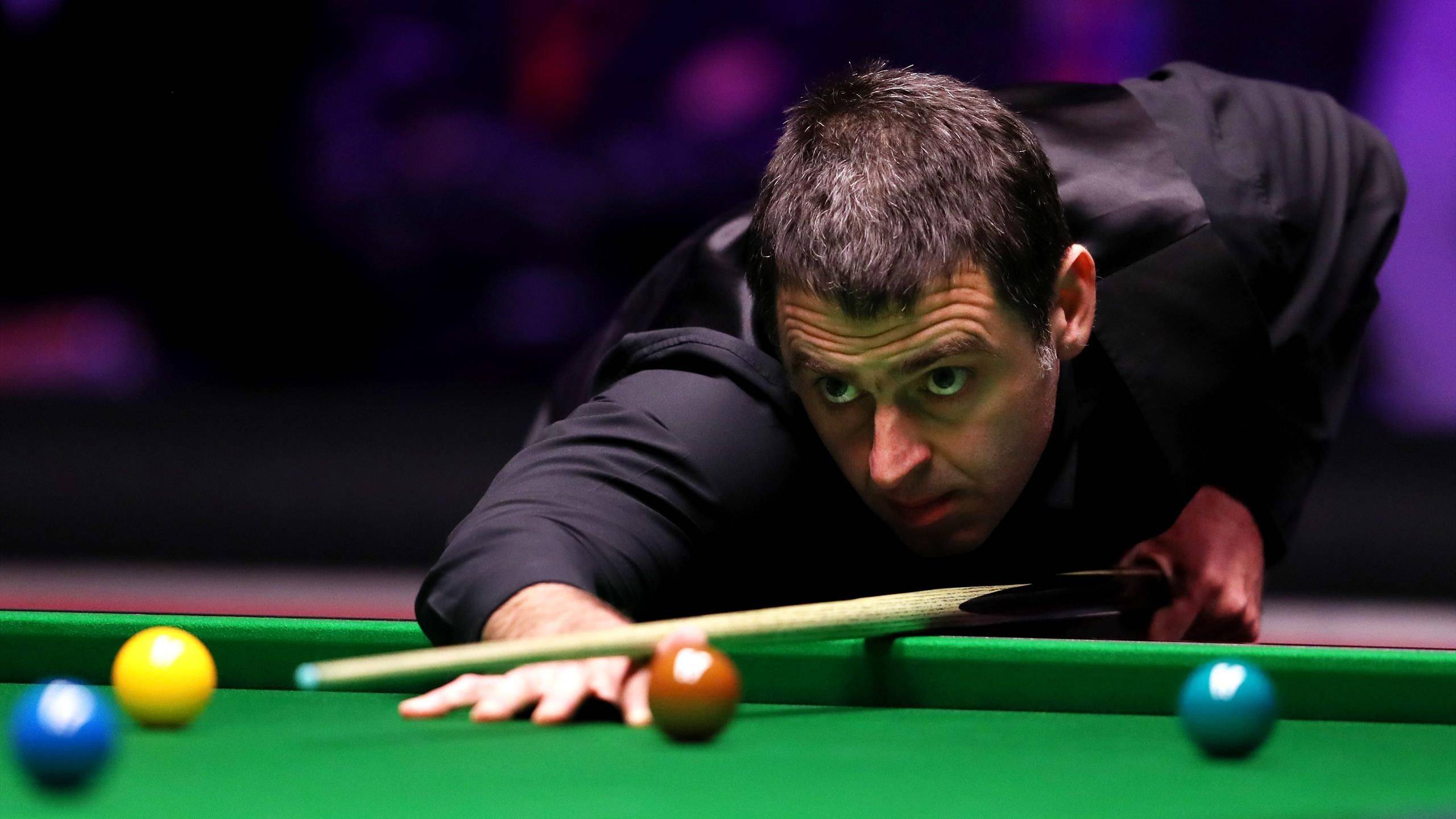 但他们似乎 但他们似乎