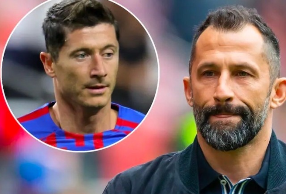 曼市在本届 曼市在本届