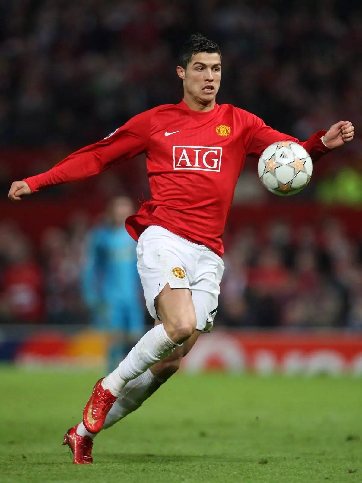 到观众引导 到观众引导