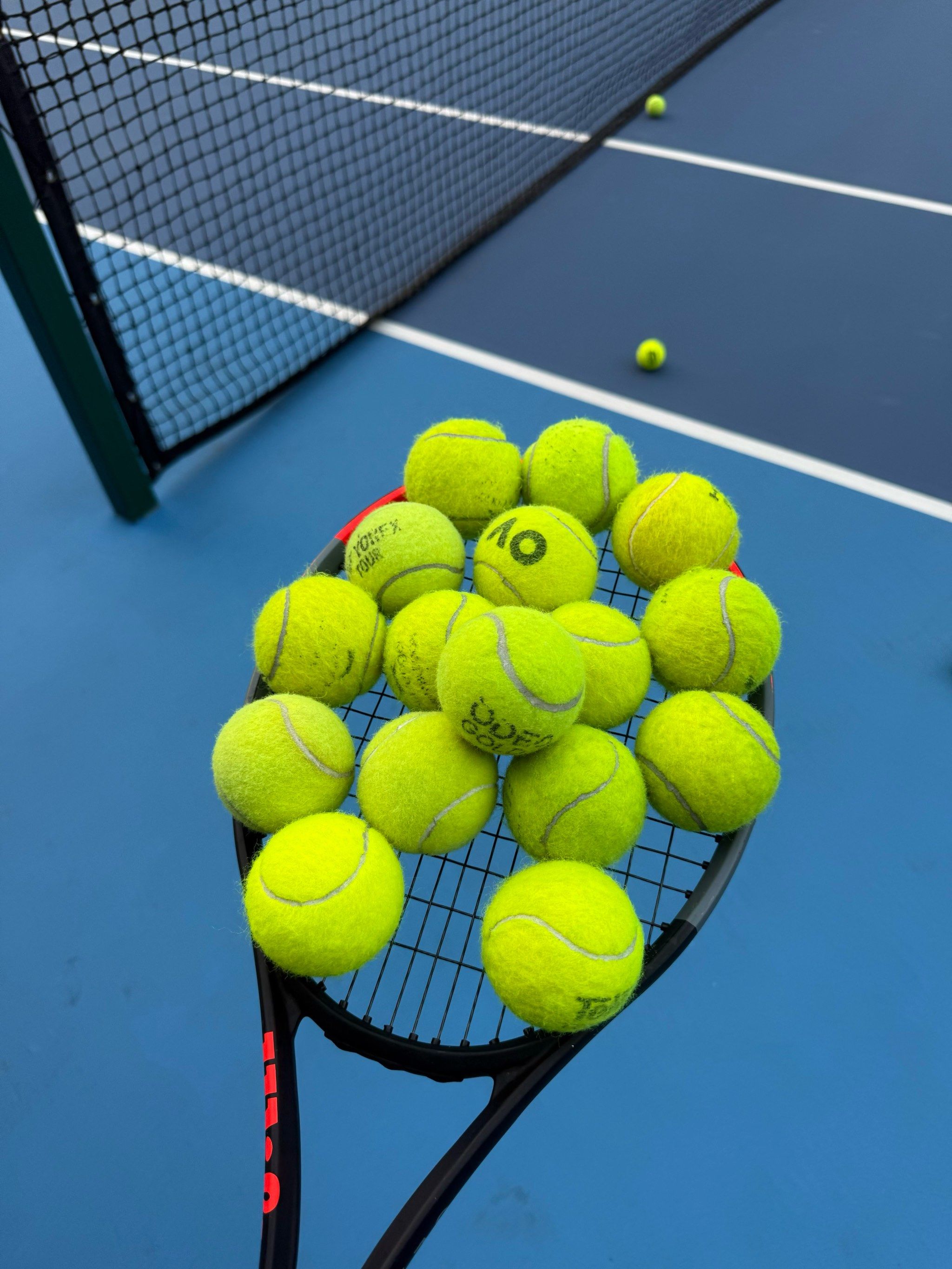 动员提供了 动员提供了